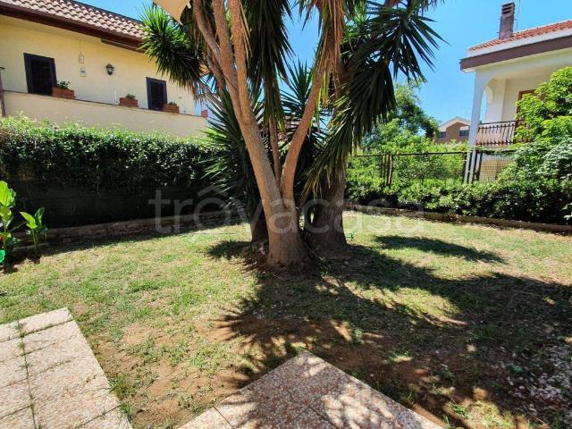 Appartamento in in affitto da privato ad Ardea viale Paride, 70, giardino, da privato, lavatrice TrovaCasa