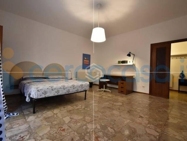 Appartamento in ottime condizioni in affitto a Pisa