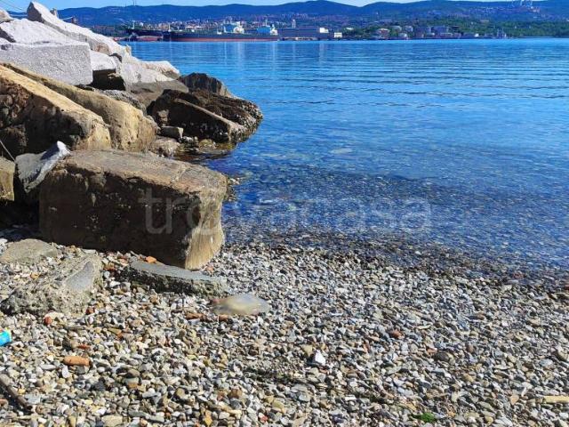 Appartamento in vendita a Muggia via Cesare Battisti, 18
