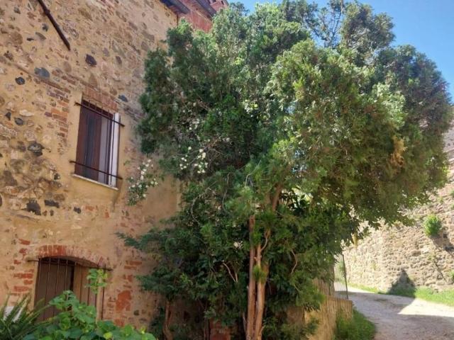 Appartamento in vendita a Murlo SI