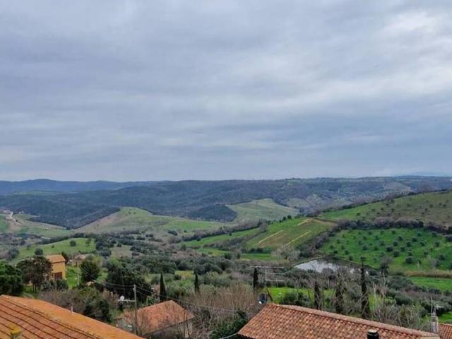 Appartamento in vendita a Magliano in Toscana GR