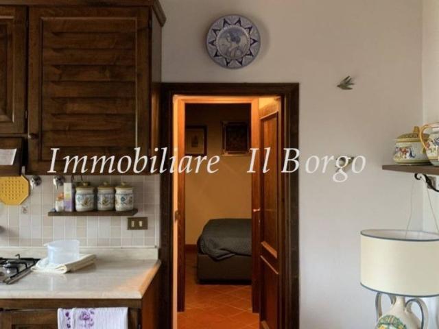Appartamento in vendita a Manciano GR