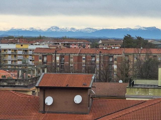 Appartamento in vendita a Mantova MN