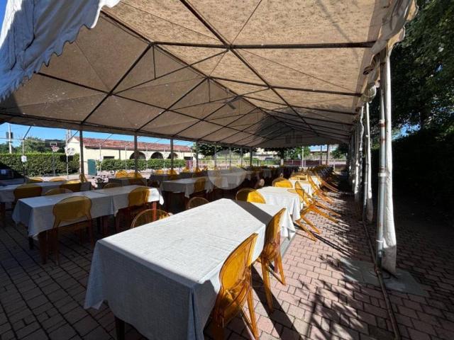 Appartamento in vendita a Mantova MN