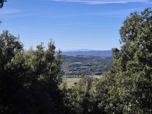 Appartamento in vendita a Massa Marittima GR