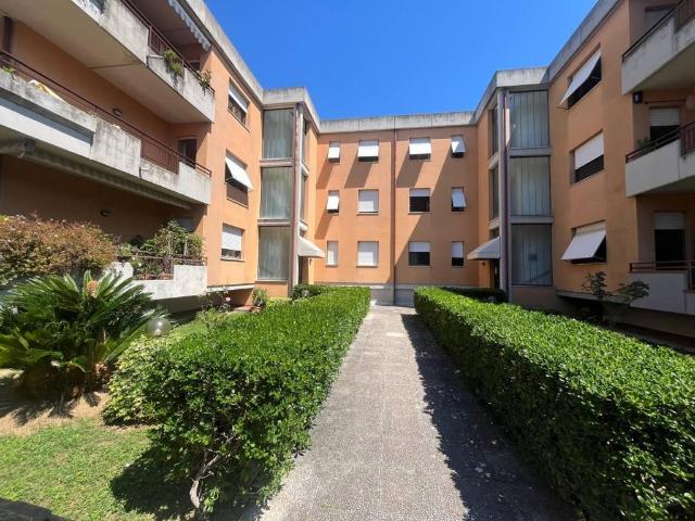 Appartamento in vendita a Massa MS