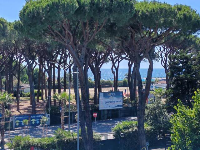 Appartamento in vendita a Massa MS