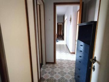 Via Vittorio Veneto Carrara, Castelnuovo di Magra, Massa-Carrara, Liguria