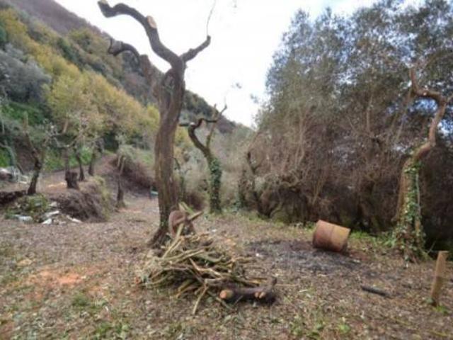 Appartamento in vendita a Massa Lubrense NA