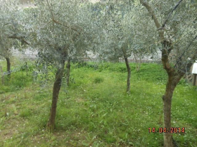 Appartamento in vendita a Massarosa LU