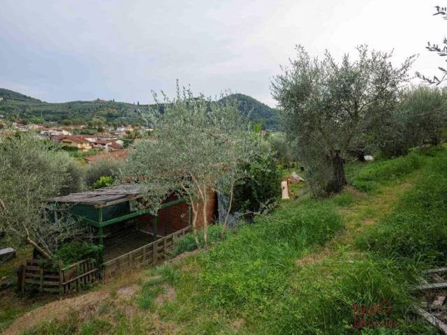 Appartamento in vendita a Massarosa LU