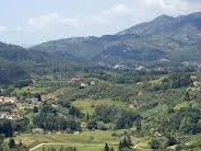 APPARTAMENTO in VENDITA a MASSAROSA Piano Di Mommio di 4 vani