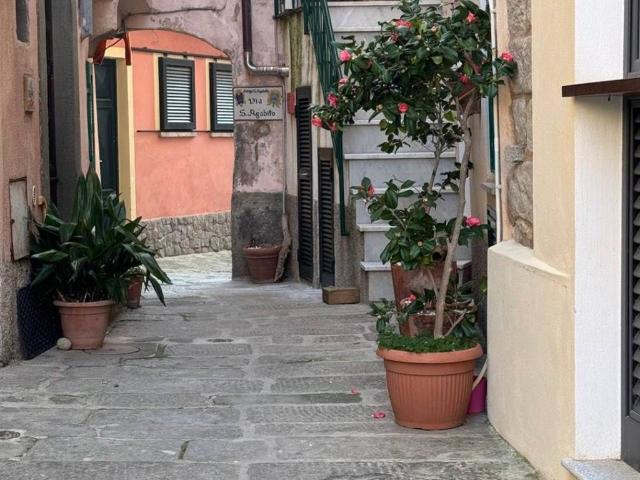 Appartamento in vendita a Marciana LI