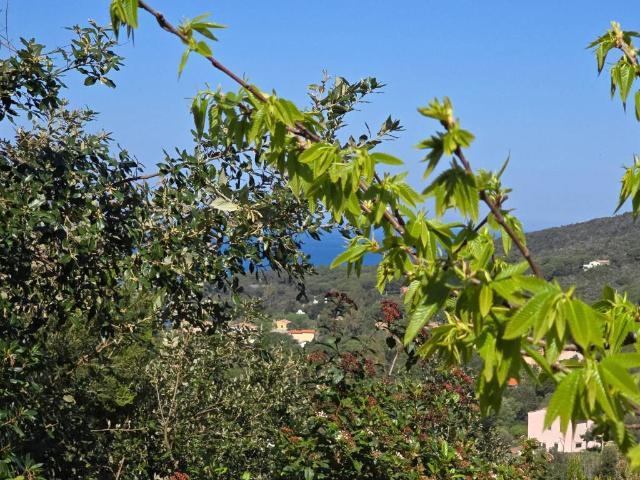Appartamento in vendita a Marciana LI