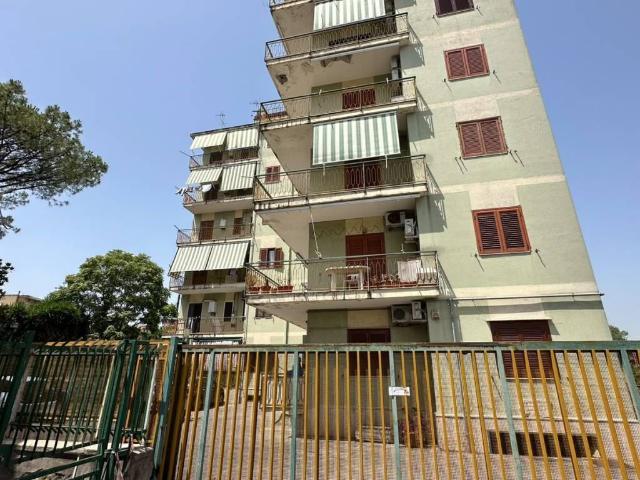 Appartamento in vendita a Marigliano NA