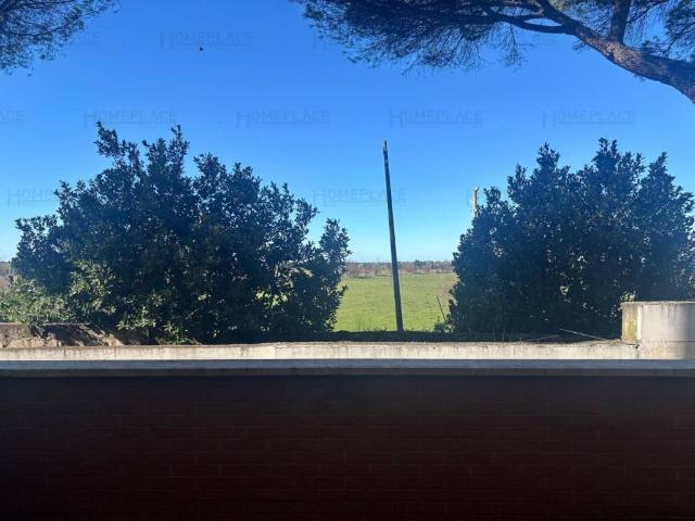 Appartamento in vendita a Marino RM