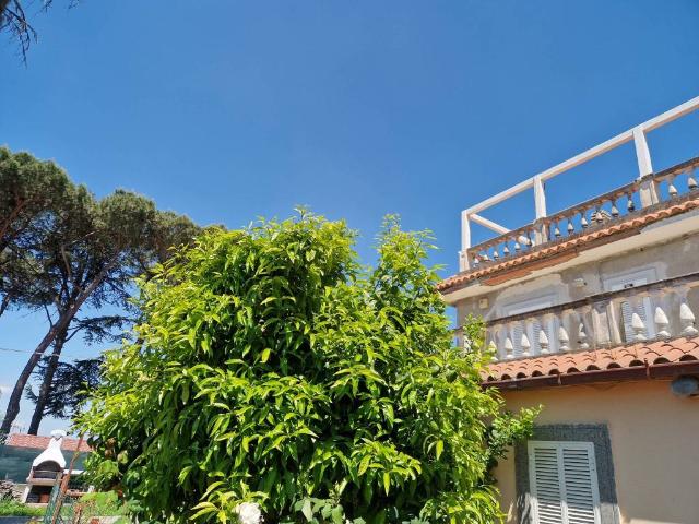 Appartamento in vendita a Marino RM