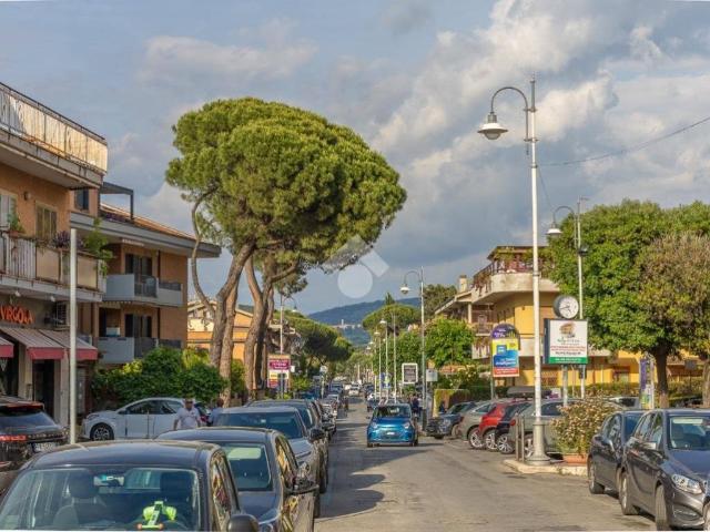 Appartamento in vendita a Marino RM