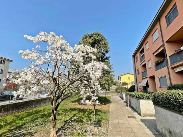 Appartamento in vendita a Merone CO