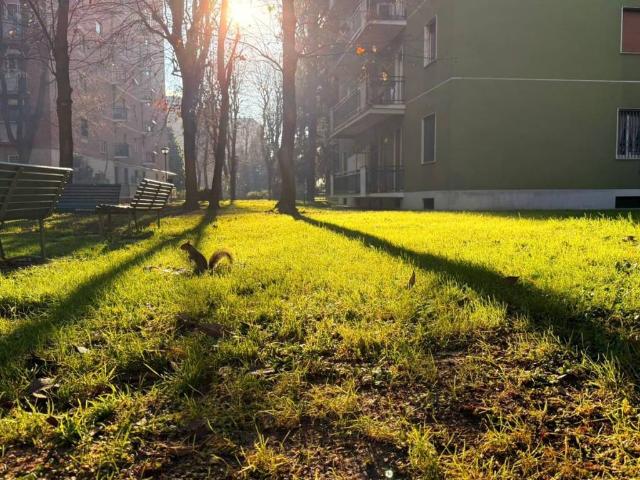 Appartamento in vendita a Milano MI
