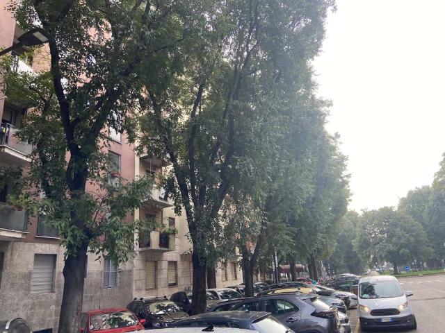 Appartamento in vendita a Milano MI