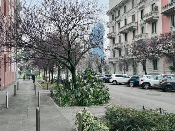 Via Sebastiano del Piombo Milano, Fiera Firenze Sempione Paolo Sarpi - Arena, Milano, Milano Lombardia, Lombardia