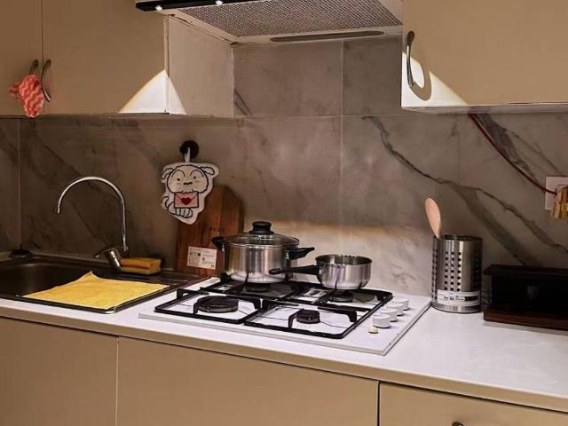 Appartamento in vendita a Milano MI