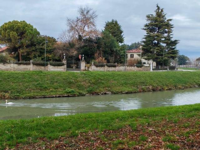 Appartamento in vendita a Mira VE