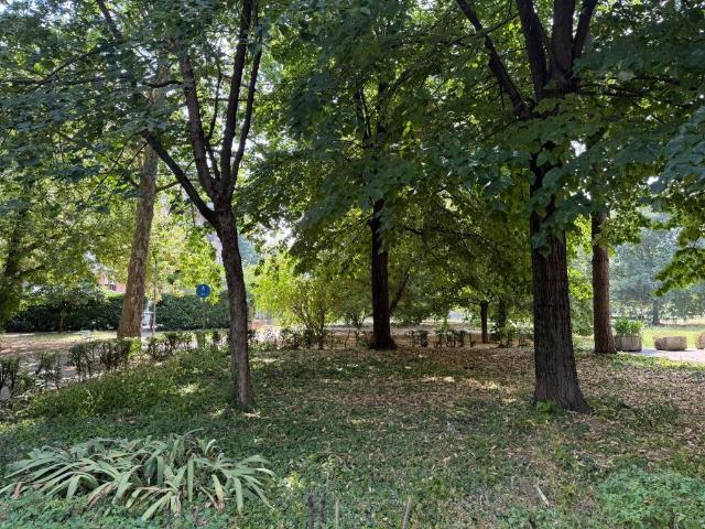 Appartamento in vendita a Modena MO