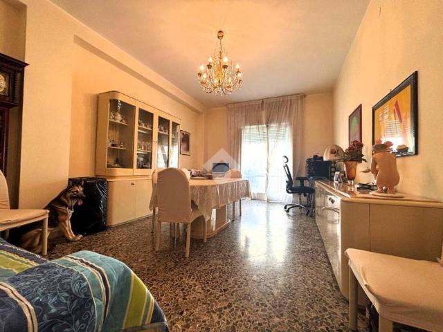 Appartamento in vendita a Molfetta BA
