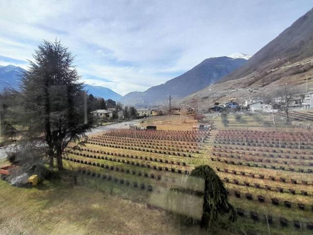 Appartamento in vendita a Montagna in Valtellina SO