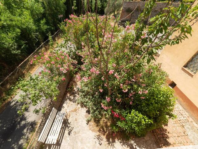 Appartamento in vendita a Montalcino SI