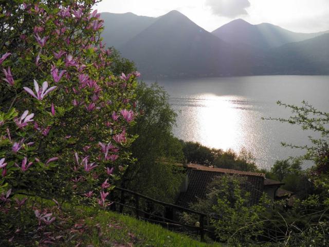 Appartamento in vendita a Monte Isola BS