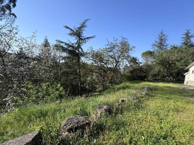 Appartamento in vendita a Monte Santa Maria Tiberina PG