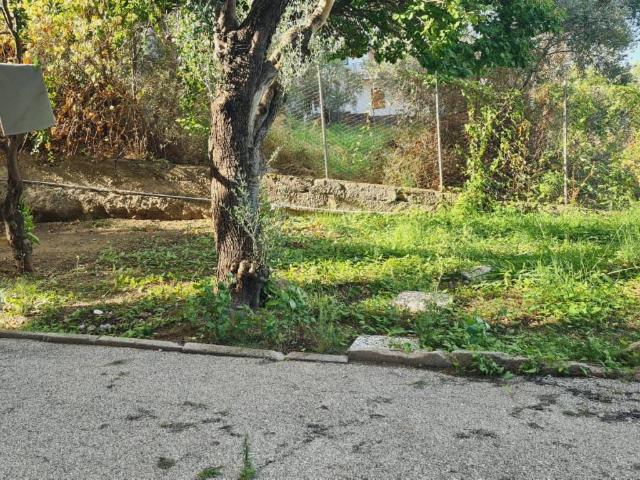Appartamento in vendita a Montecorice SA