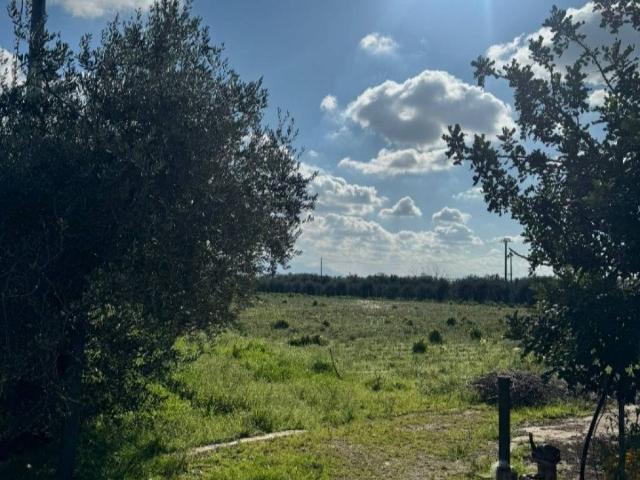 Appartamento in vendita a Montecorvino Pugliano SA