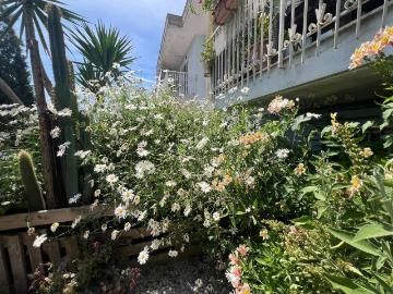 Appartamento in vendita a Montecorvino Pugliano SA