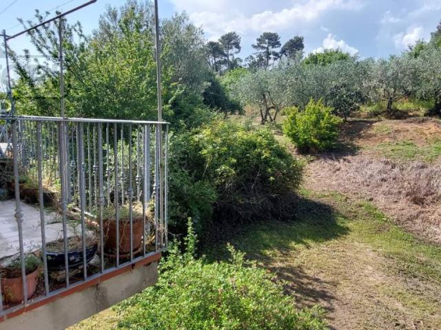 Appartamento in vendita a Montecarlo LU