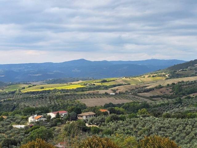 Appartamento in vendita a Montecchio TR