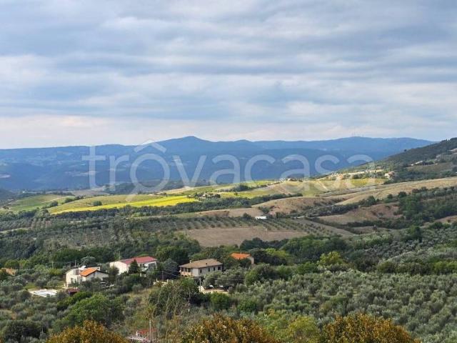 Appartamento in vendita a Montecchio via Todi, 12