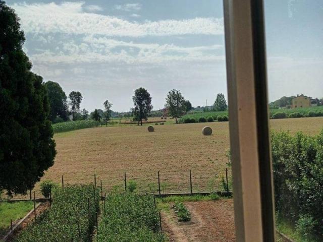 Appartamento in vendita a Montegalda VI