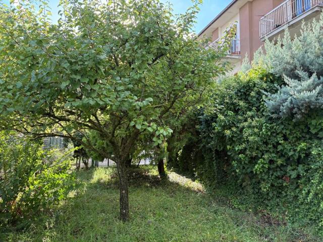 Appartamento in vendita a Montefiascone VT