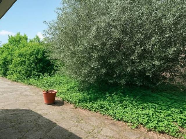Appartamento in vendita a Montefranco TR
