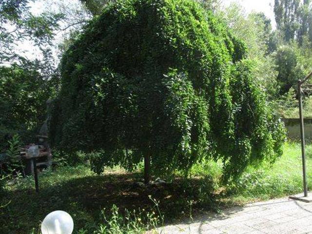 Appartamento in vendita a Montelabbate PU