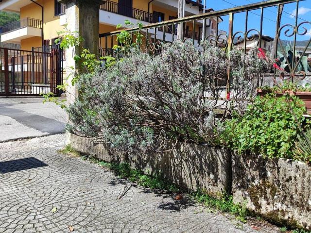 Appartamento in vendita a Montella AV