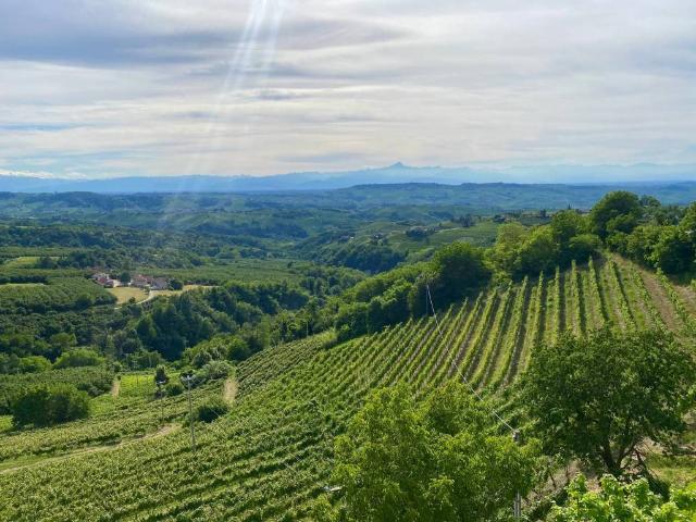 Appartamento in vendita a Montelupo Albese CN