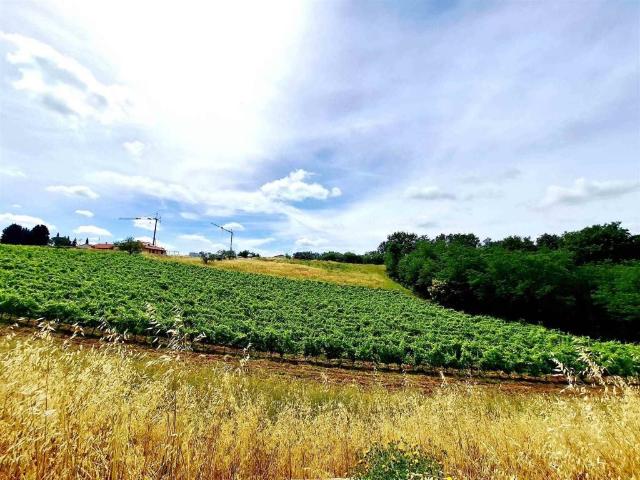 Appartamento in vendita a Montelupo Fiorentino FI