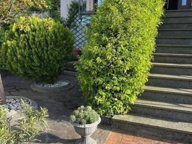 Appartamento in vendita a Montescudaio