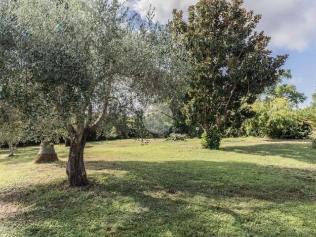 Casa indipendente in vendita a Monterosi VT