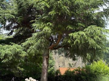 Appartamento in vendita a Monterenzio BO